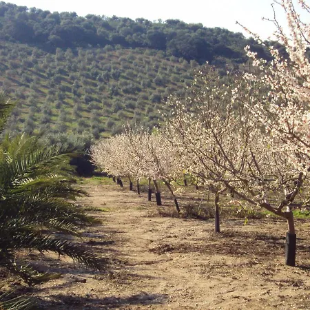 Holiday home Cosy House In Estepa With Mountain View Lora de Estepa