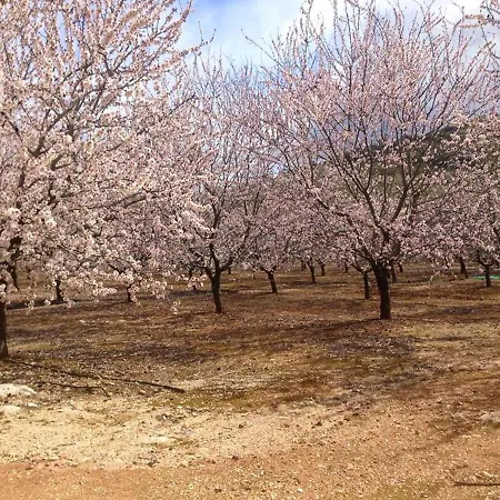 Cosy House In Estepa With Mountain View Holiday home Lora de Estepa